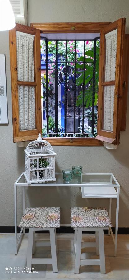 Alojamiento Casa Tipica De 코르도바 외부 사진