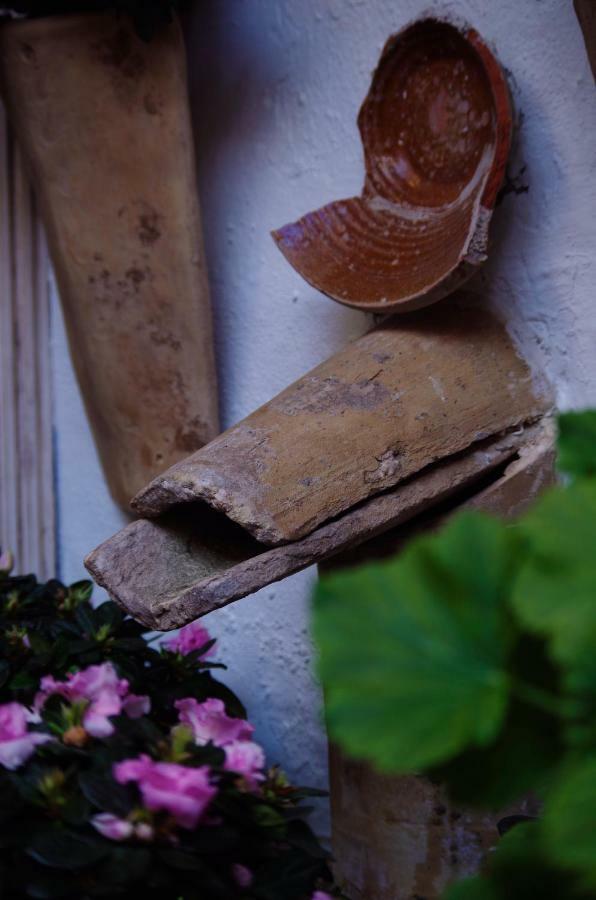 Alojamiento Casa Tipica De 코르도바 외부 사진