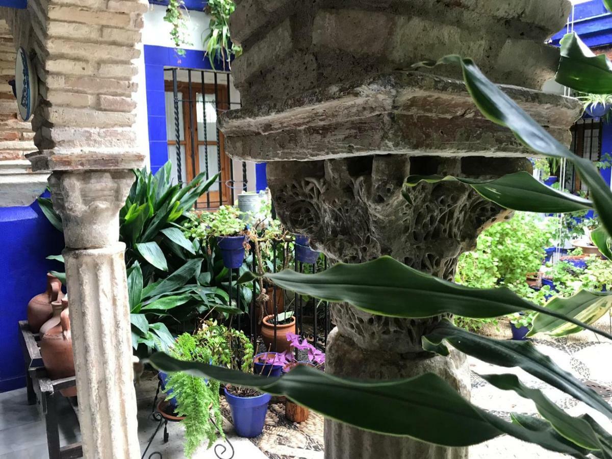 Alojamiento Casa Tipica De 코르도바 외부 사진